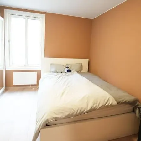 Sjarmerende Og Moderne I Sentrum 公寓 奥斯陆